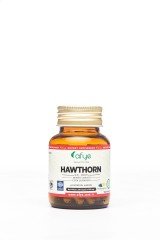 AFYE HAWTHORNE 600 MG 60 KAPSÜL