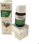 Lokman Aktar Adaçayı Yağı 20 ml