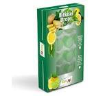 Naturpy Bitkisel Pastil Naneli Zencefilli 30 gr