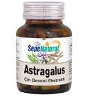 Astragalus Root Extract 90 Kapsül Çin Geveni Ekstresi