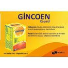 Gincoen 30 Kapsül - 15 Adet