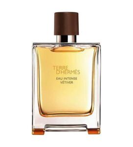 Hermes Terre D Hermes Intense Erkek Parfüm EDP 100 ml