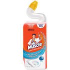 Mr. Muscle Tuvalet Temizleyici Jel Bahar Tazeliği 750 ml