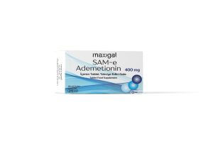 Maxıgal Ademetıonın 24 Tb