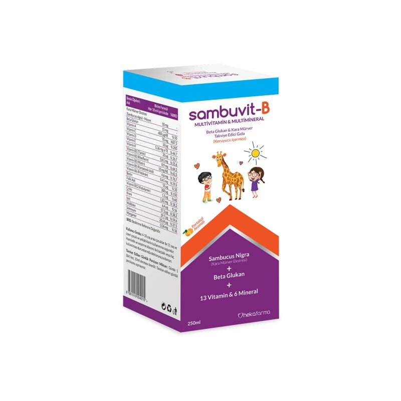 SAMBUVIT-B MULTIVITAMIN 250 ML SURUP
