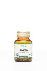 AFYE GİNKGO 600 MG 120 KAPSÜL