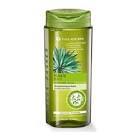 Yves Rocher Yağlı Saçlar İçin Arındırıcı Şampuan 300 ml