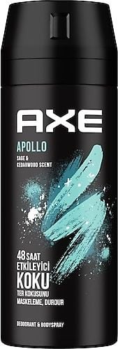 Axe Erkek Deodorant & Bodyspray Leather & Cookies 48 Saat Etkileyici Koku 150 ml