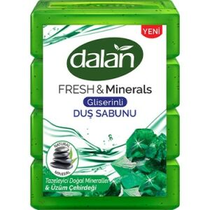 Dalan Fresh & Minerals Klasik Aloe Vera 110 gr 4'lü