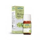 Organikdem Melisa Uçucu Yağı 20 ml