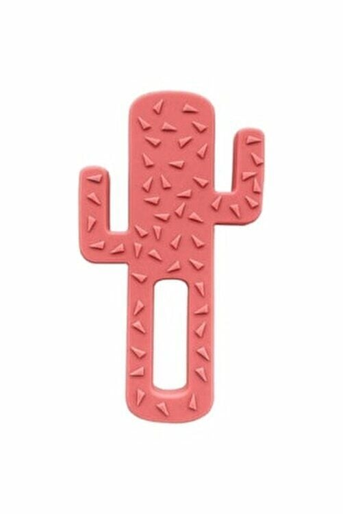 Oioi Diş Kaşıyıcı Kaktüs - Bordo