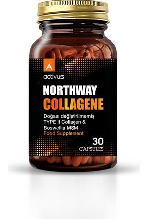 Northway Type 2 Collagen 30 Kapsül
