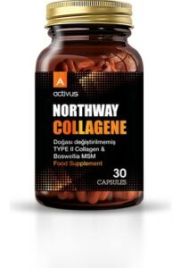 Northway Type 2 Collagen 30 Kapsül