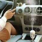 Panaceae Garden Araç Difüzörü 50 ml