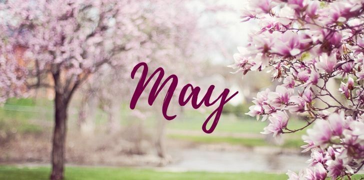 May & Co. Yaşlanma Karşıtı Collagen Cilt Bakım Serumu 30 ml