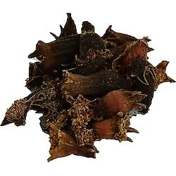 Lokmanavm Meyan Balı 100 gr