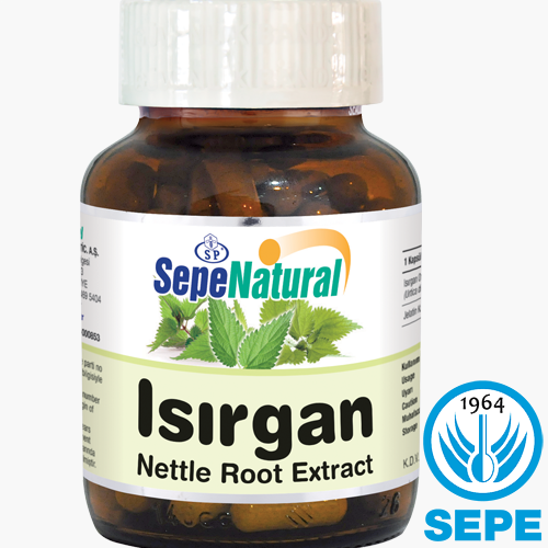 Nettle Root Extract Kapsül 90 x 580 mg Isırgan Ekstrakt  Ekstresi
