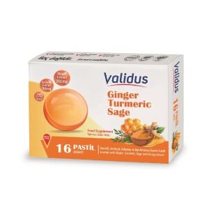 Validus Ginger Turmeric Sage Honey 16 Pastil