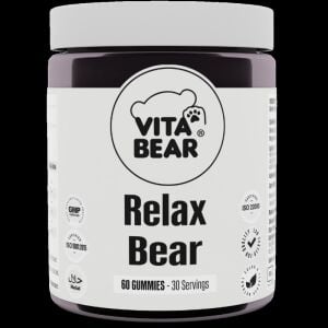 Vıta Bear Relax Bear