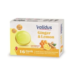 Validus Lemon Ginger Honey 16 Pastil