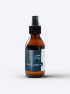 The Base Nano Gümüş Hidrosolü Pet 60 ppm 100 ml