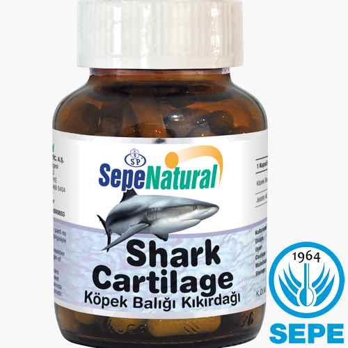 Köpek Balığı Kıkırdağı Kapsül 90 x 450 mg Shark Cartilage