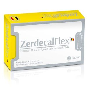 ZerdeçalFlex 240 Kapsül