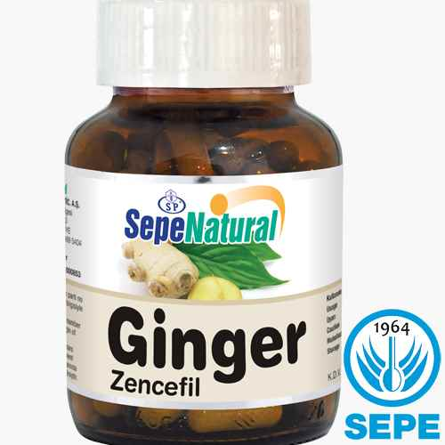 Ginger Root Kapsül 90 x 480 mg Zencefil Kökü