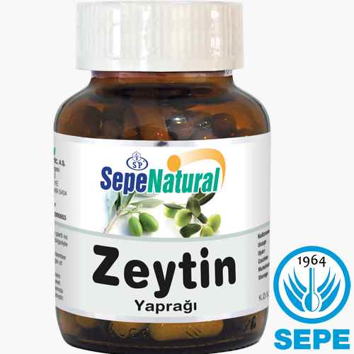 Zeytin Yaprağı Kapsül 90 x 380 mg Olive Leaf