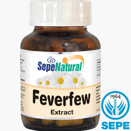 Feverfew Extract 90 Kapsül 430 mg Gümüşdüğme Ekstresi