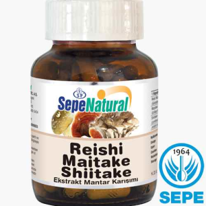 Reishi Maitake Shiitake 3 Mantar Extract 90 Kapsül 380 mg