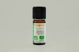 Florame Karanfil Tohumu 10 ml