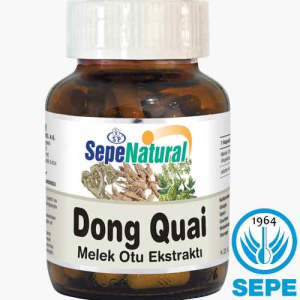 Dong Quai Root Extract 90 Kapsül 530mg Melekotu Ekstresi