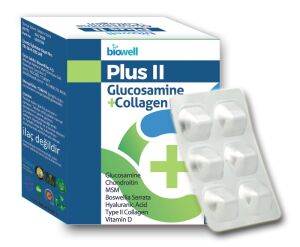 PLUS II GLUCOSAMINE+COLLAGEN