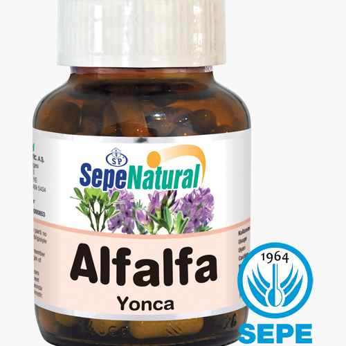 Alfalfa Extract 60 Kapsül 430 mg Yonca Ekstresi