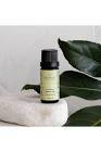 Oilwise Çay Ağacı Uçucu Yağı 10 ml