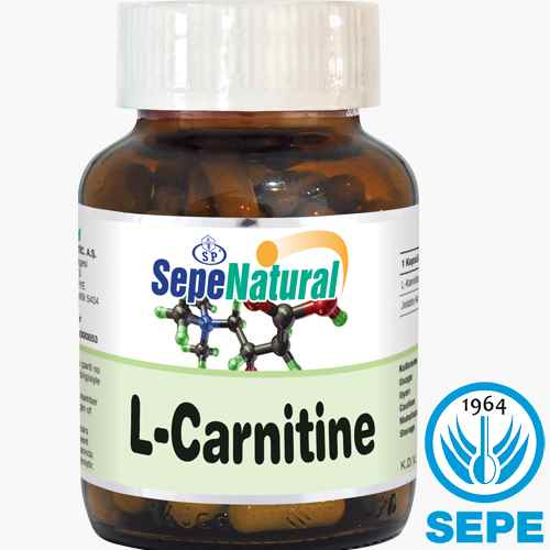 L-Carnitine Kapsül 90 x 480 mg L-Karnitin