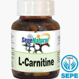 L-Carnitine Kapsül 90 x 480 mg L-Karnitin