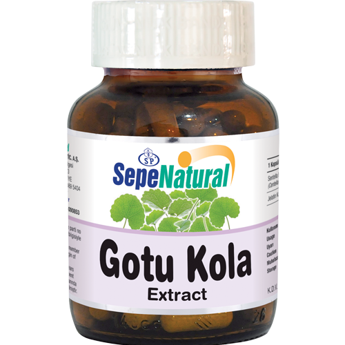 Gotu Kola Extract Kapsül 90 x 410mg Sentella Ekstrakt Ekstresi