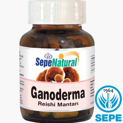 Reishi Mushroom Extract 90 Kapsül 380 mg Reişi Reyişi Reyşi