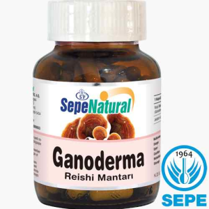 Reishi Mushroom Extract 90 Kapsül 380 mg Reişi Reyişi Reyşi