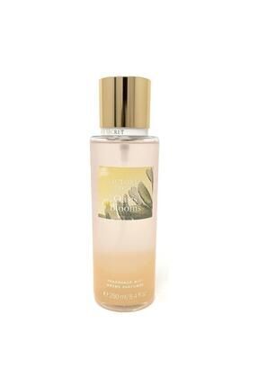 Victoria's Secret Oasis Blooms Body Mist Vücut Spreyi 250 ml