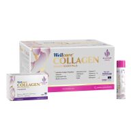 WELLCARE KOLLAJEN KARPUZ MINT 10000 MG 30 TUP
