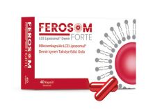 FEROSOM FORTE 40 KAPSUL