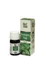 Bio Vitals Fesleğen Yağı 20 ml