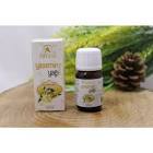 Asitane Yasemin Yağı 20 ml