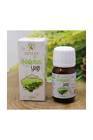 Asitane Tarçın Yağı 20 ml