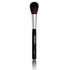 Palladio Powder Brush 4567