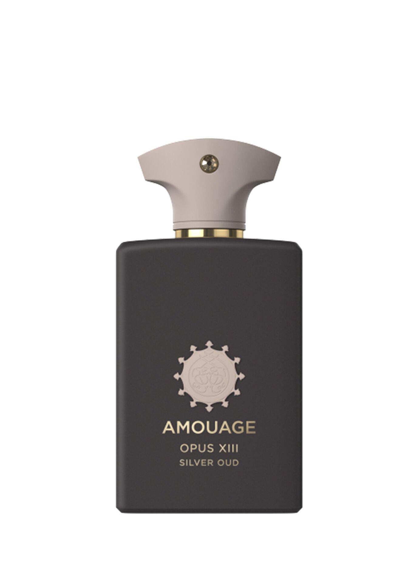 Amouage Opus XIII Silver Oud Parfüm EDP 100 ml