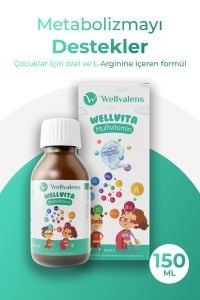 Wellvalens Wellvita Multivitamin & Mineral 100 Tablet